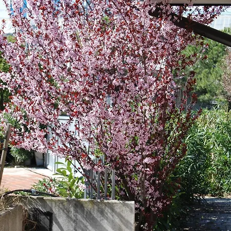 Fuer 4 Personen Ca, 45 M Sup2 In Desenzano Del Garda, Lombardei Gardasee Apartment
